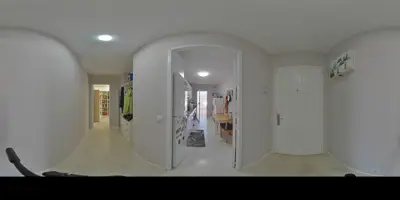 TAMARA 7